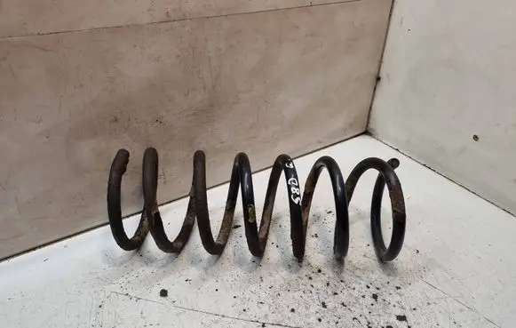 Rear coil spring