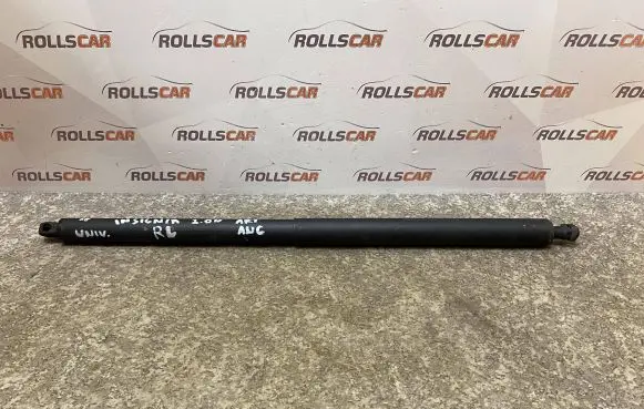 Opel Insignia A Tailgate/trunk strut/damper 13247949 315005777