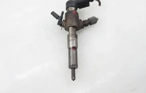 Citroen C2 Fuel injector 9654551080