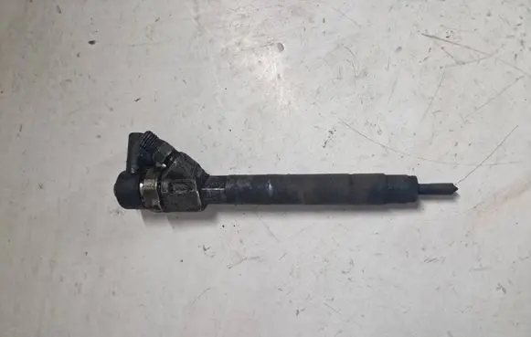 Mercedes-Benz Vito Viano W639 Fuel injector A6460700287