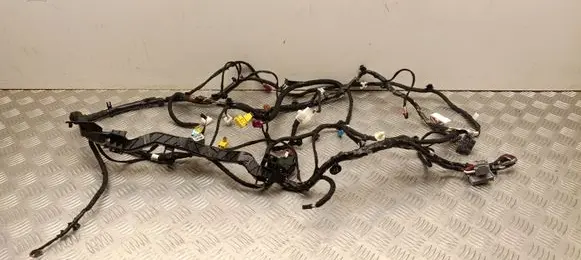 Tesla Model Y Other wiring loom P248904802C