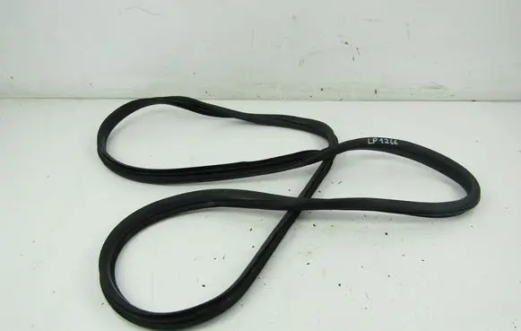 Citroen C3 Front door rubber seal 