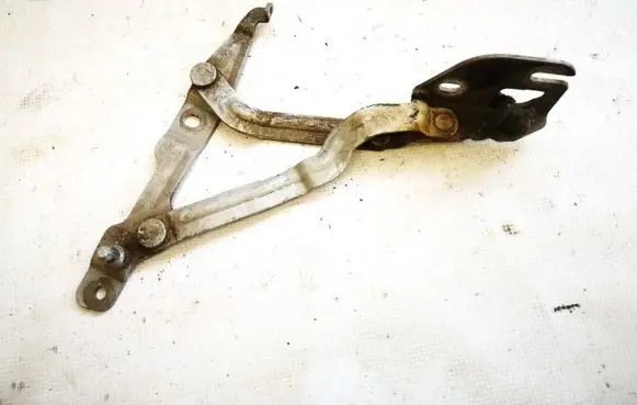 Volkswagen PASSAT B5 Tailgate/trunk/boot hinge 3b5827302