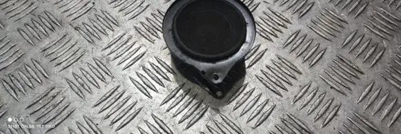 Panel speaker