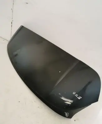 BMW X5 E70 Tailgate/trunk spoiler 7157689