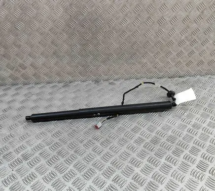Ford Kuga III Tailgate/trunk strut/damper LV4BS402A55CA
