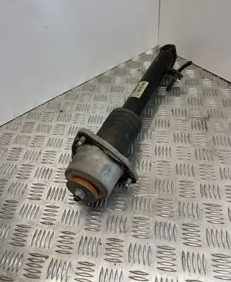 BMW X5 E70 Rear shock absorber/damper 6781922