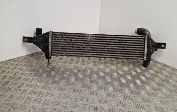 Nissan Qashqai+2 Intercooler radiator Y8396005