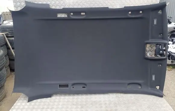 BMW X5 E70 Headlining 205835PA