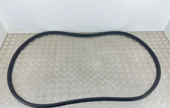Hyundai Santa Fe Trunk rubber seal (body) 