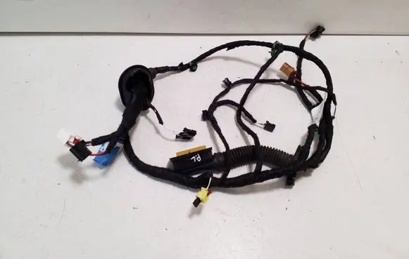 Cupra Born Front door wiring loom TAB051075J 2250304677 5030467