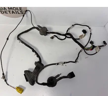 Audi A6 S6 C6 4F Front door wiring loom 4F1971030