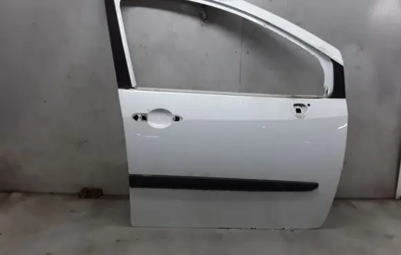 Renault Modus Front door