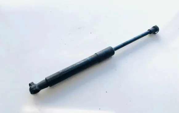 Front bonnet/hood damper/strut