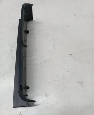 Rear/tail light trim molding