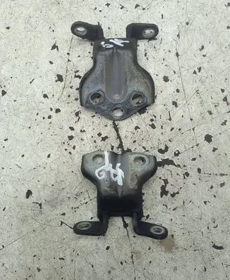 SsangYong Rodius Rear door hinge set 