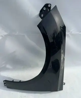 Ford Focus Fender