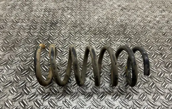 Opel Antara Rear coil spring