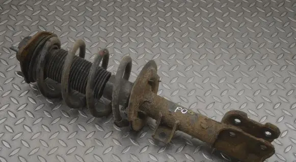 Hyundai Santa Fe Front shock absorber/damper