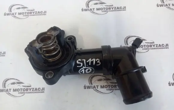 Thermostat/thermostat housing