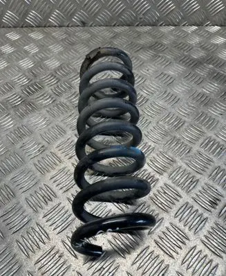 Rear coil spring