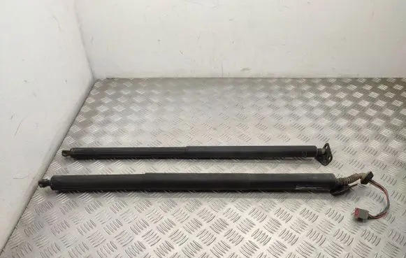 Ford Kuga II Tailgate/trunk strut/damper CV44S402A55AB