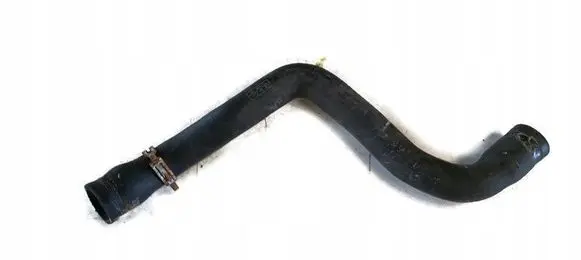 Ford Focus Engine coolant pipe/hose