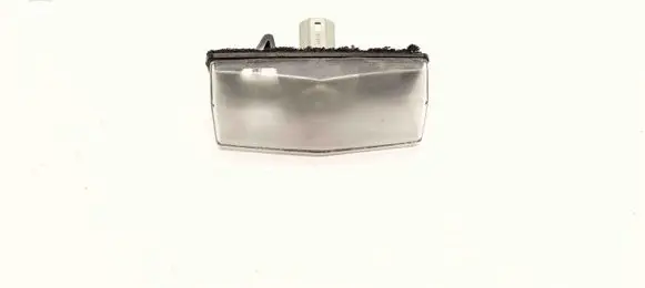 Toyota RAV 4 (XA40) Number plate light