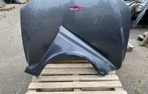Renault Laguna II Fender
