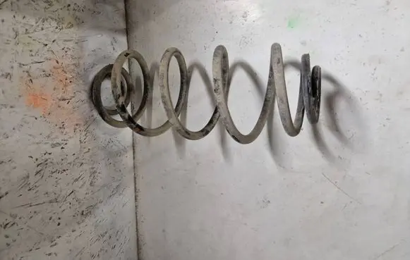 Rear coil spring