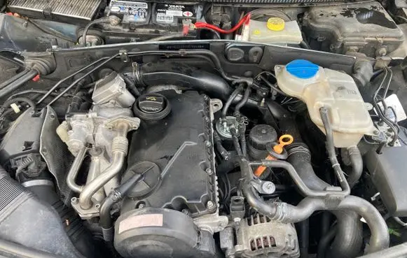 Volkswagen PASSAT B5.5 Engine head bgw