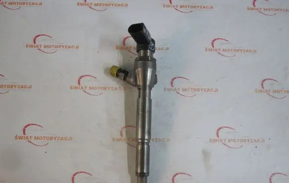 Nissan Bluebird Sylphy II Fuel injector H8200294788