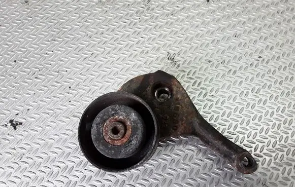 Peugeot 307 Timing belt/chain tensioner 
