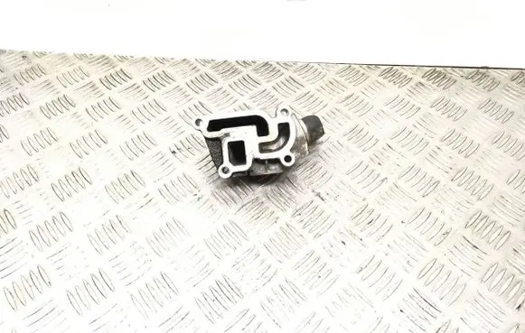 Thermostat/thermostat housing