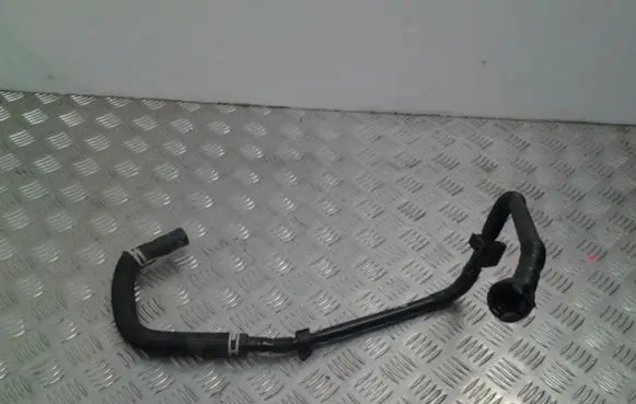 Citroen Berlingo Engine coolant pipe/hose