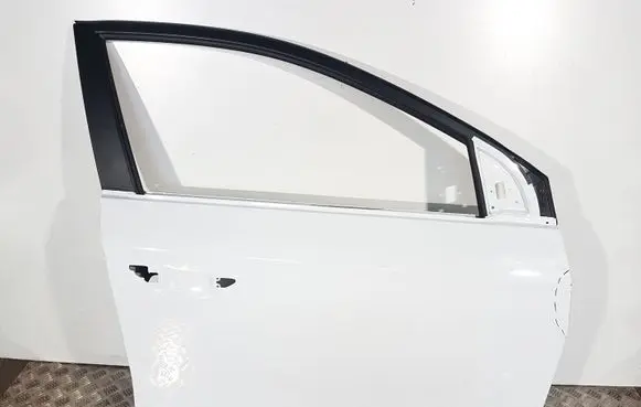 Hyundai Ioniq Front door 76004G2010