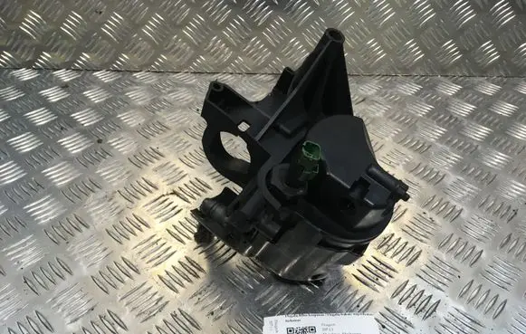 Peugeot 207 Fuel filter housing 9655604380