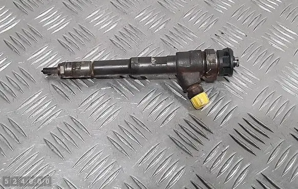 Renault Kangoo II Fuel injector 0445110485 H8201108033
