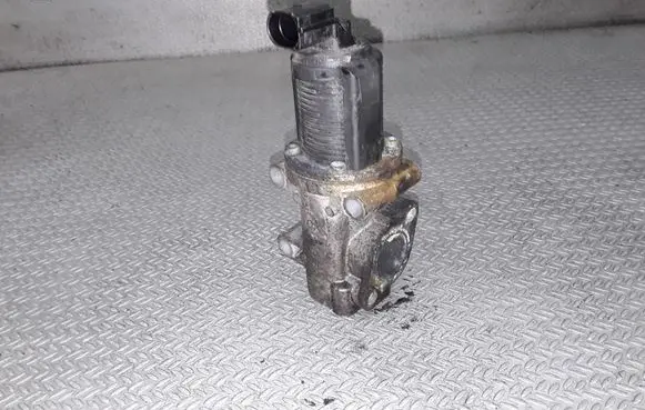 Fiat Multipla EGR valve