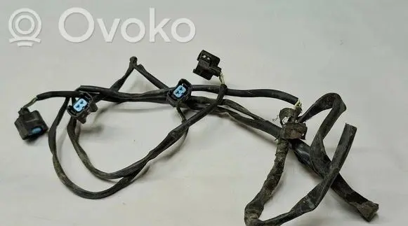 Subaru Outback Fuel injector wires 