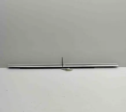 Rear door glass trim molding