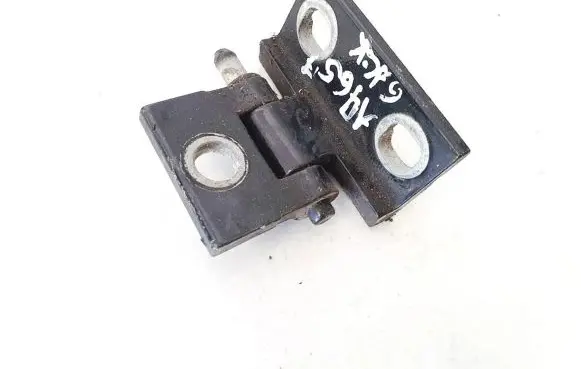 Rear door lower hinge