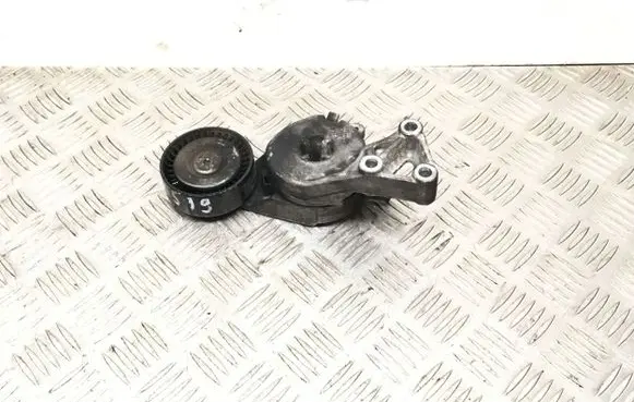 Volkswagen New Beetle Generator/alternator belt tensioner 06A9036315E 414000