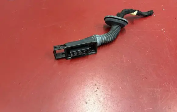 BMW X3 G01 Front door wiring loom 9221028