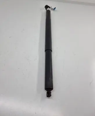 Tailgate/trunk strut/damper