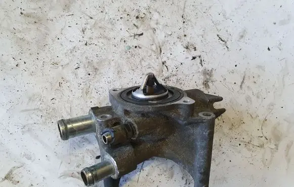 Thermostat/thermostat housing
