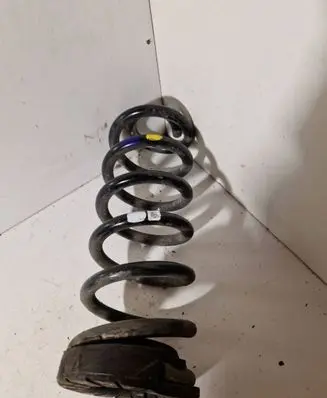 Rear coil spring