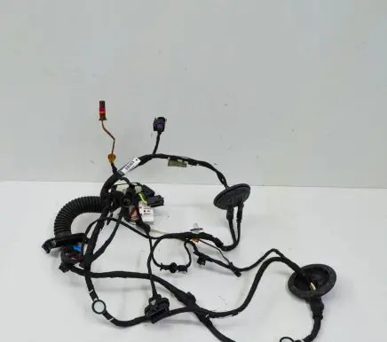Front door wiring loom