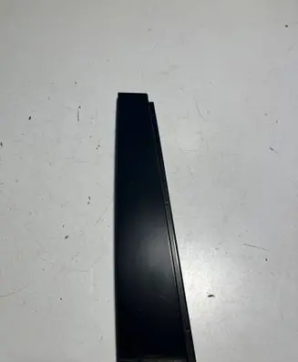 Rear door glass trim molding