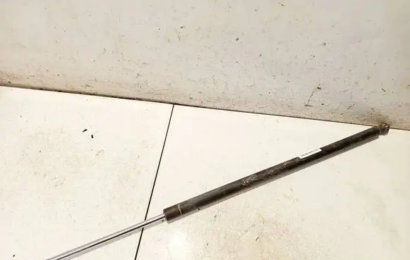 Tailgate/trunk strut/damper